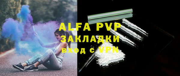 PSILOCYBIN Шарыпово
