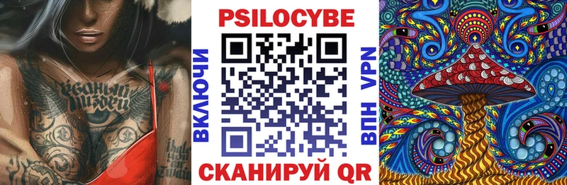 Галлюциногенные грибы Cubensis  хочу наркоту  Горбатов 